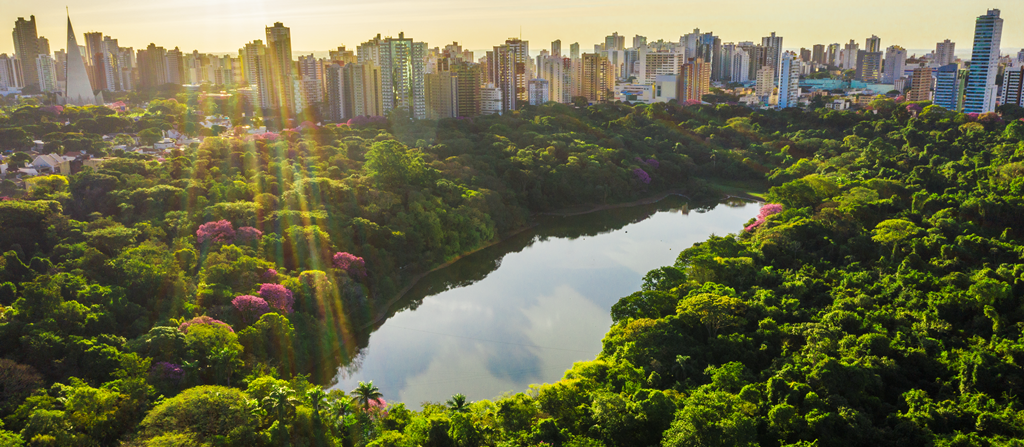 Com foco na preservação ambiental, Maringá terá passeio guiado pelo Parque do Ingá e observação de pássaros