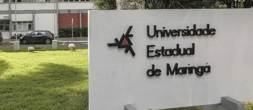 Professores da UEM formam comando de greve