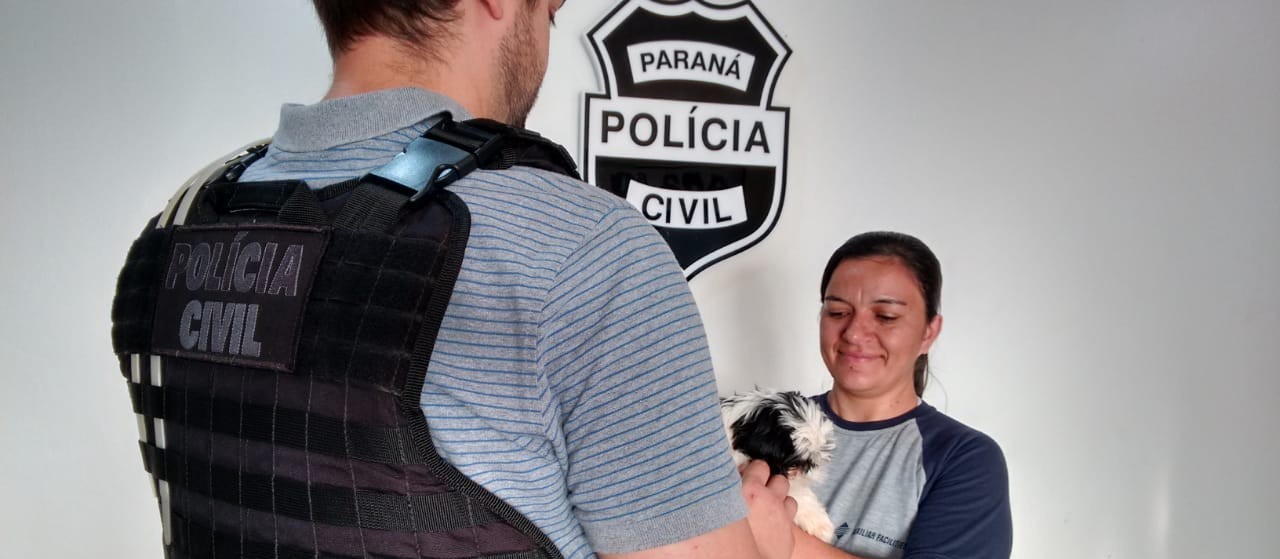 Jovem vai responder por furto de cachorro da raça shih tzu