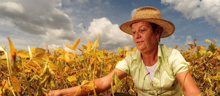 Protagonismo da mulher no agronegócio 