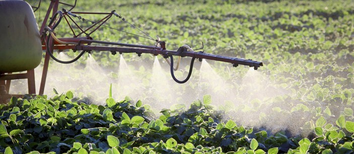 Porcentagem de agricultores que usam agrotóxicos inadequadamente é pequena