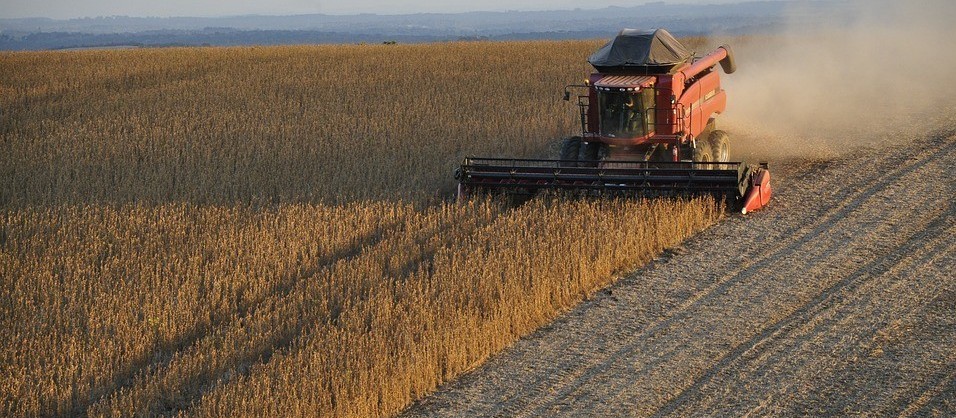 Brasil e Portugal se tornam bons parceiros comerciais