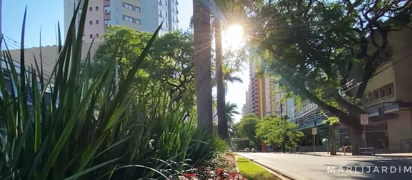 Com tempo ainda estável, Maringá tem máxima de 29°C neste sábado