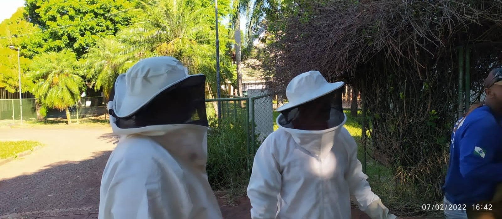 Homem é atacado por abelhas e tem reação alérgica generalizada