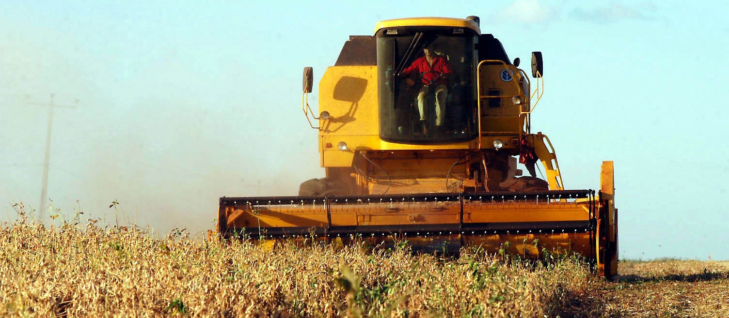 Intenso calor e chuva agrava situação de perda nas lavouras de soja do Paraná