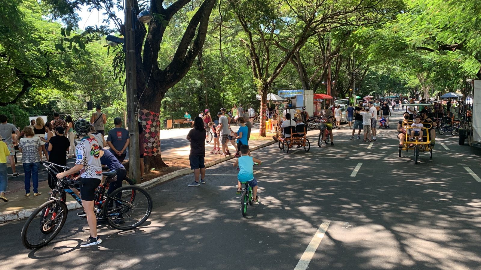 Maringaenses aproveitam o domingo no entorno do Parque do Ingá