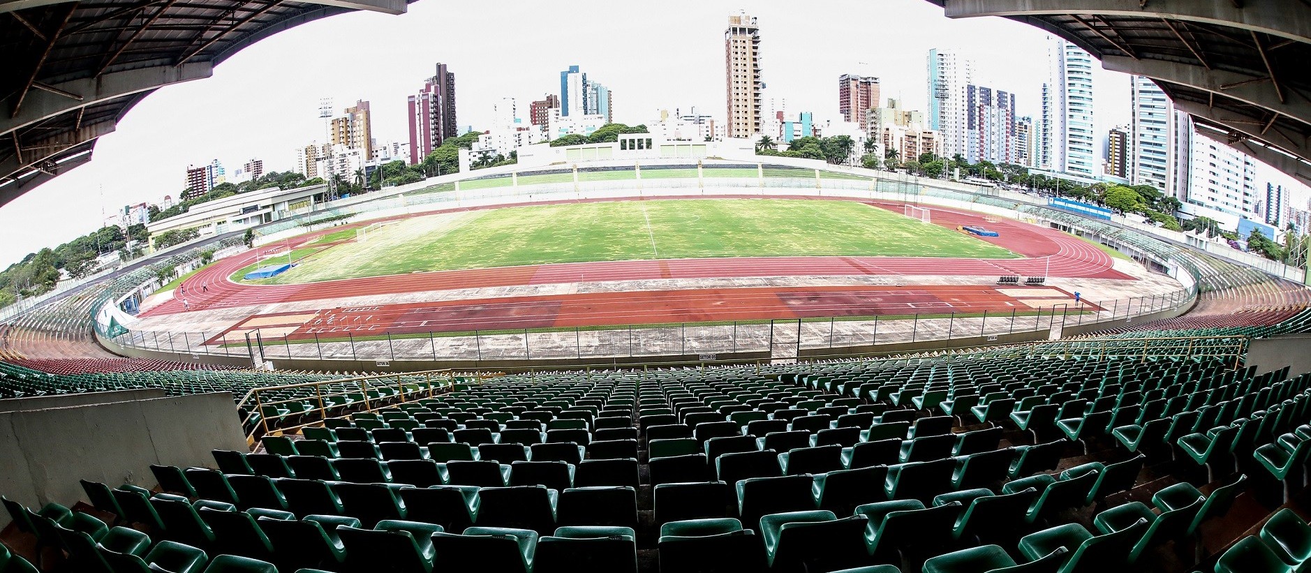 Maringá FC e Galo Maringá se enfrentam na estreia do Paranaense 2024