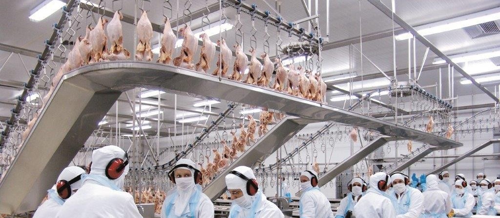 Em fevereiro exportação da carne de frango teve queda