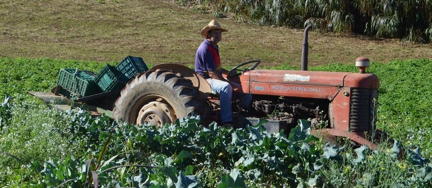 Participação do setor rural brasileiro na preservação ambiental é maior que o esperado