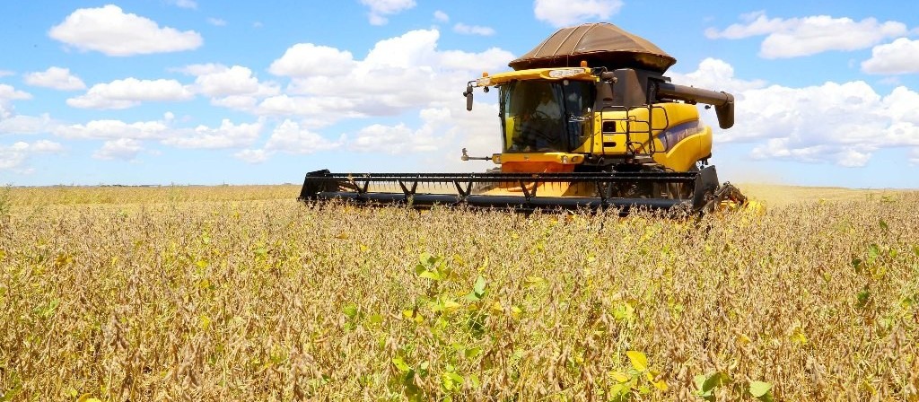 Seguro rural no pior momento da estiagem que castiga o Paraná