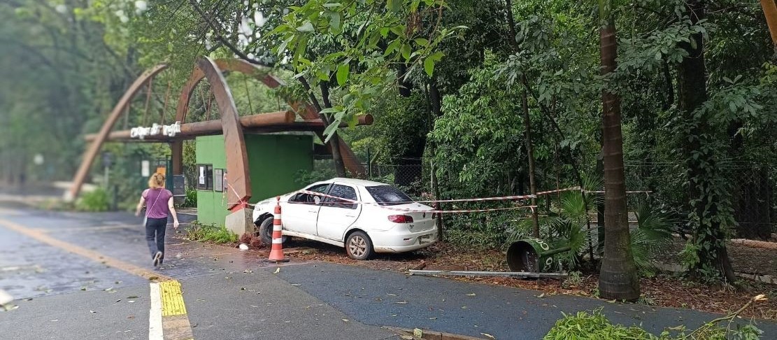 Motorista embriagado derruba semáforo e invade entrada do Parque do Ingá