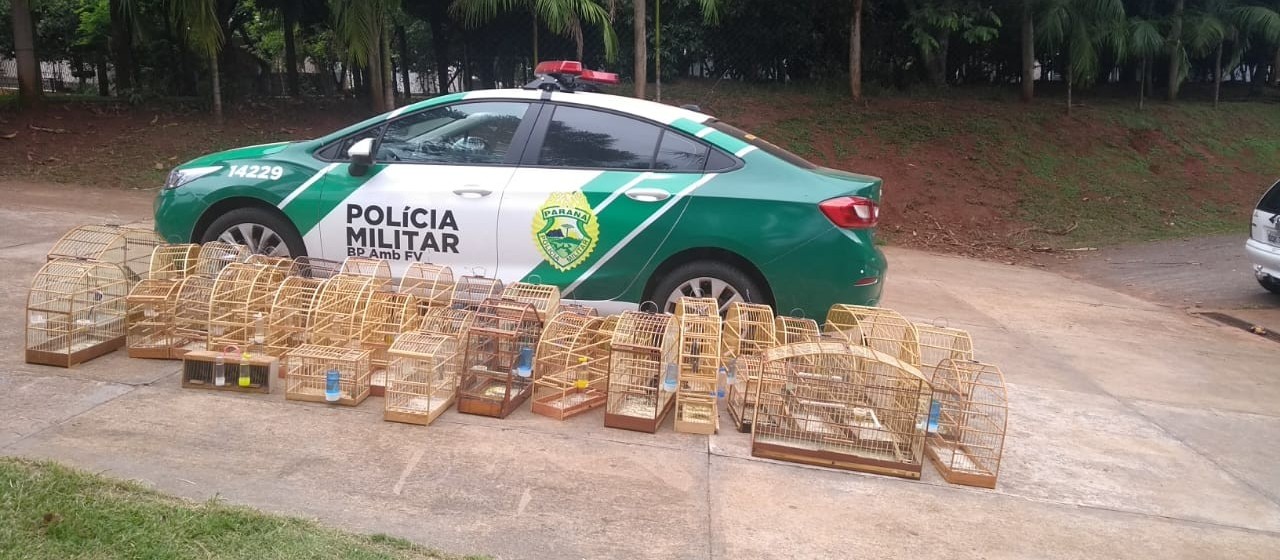 Com 45 aves aves nativas em cativeiro, homem é preso e multado em R$ 22,5 mil