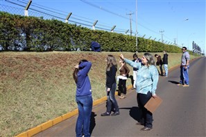 Três espécies de aves que mais colidem com aeronaves vivem no entorno do aeroporto de Maringá