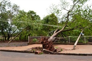 Cem postes caíram durante as tempestades que atingiram Maringá neste ano