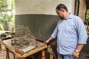 Polícia investiga furto de 214 pássaros do Parque das Aves de Apucarana