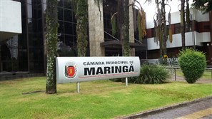 "Maringá em números" - 96,1% dos maringaenses são contra o aumento do número de vereadores na cidade