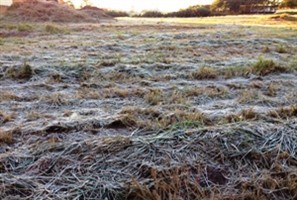 Às 7h15 desta manhã a temperatura em Maringá era de 0,5  grau negativo