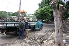 Obras de mobilidade urbana vão melhorar o trânsito na Avenida Mandacaru em Maringá