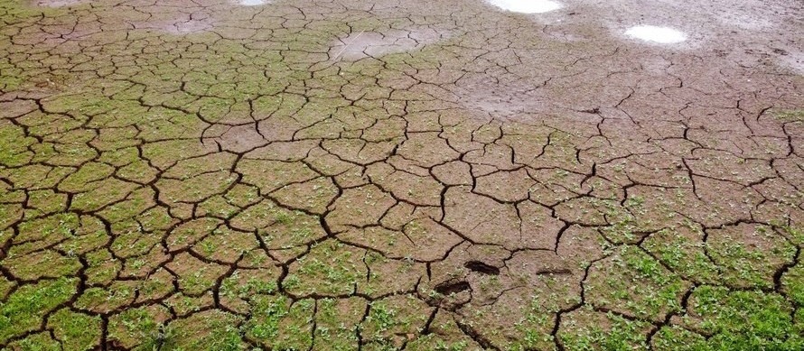 Aumento de casos de Covid-19 em Curitiba e crise hídrica preocupam as diversas regiões do Estado