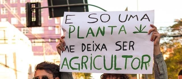 Requerimento pede segurança durante a marcha da maconha