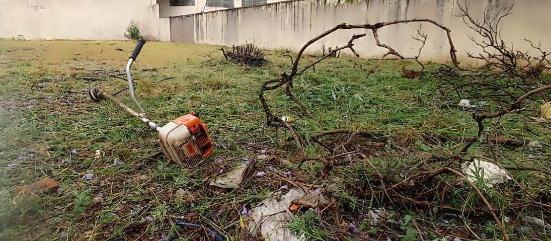 Trabalhador é atacado por abelhas na Zona 6, em Maringá