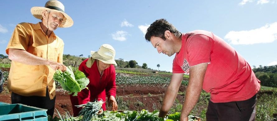 Agricultura familiar precisa ser preservada