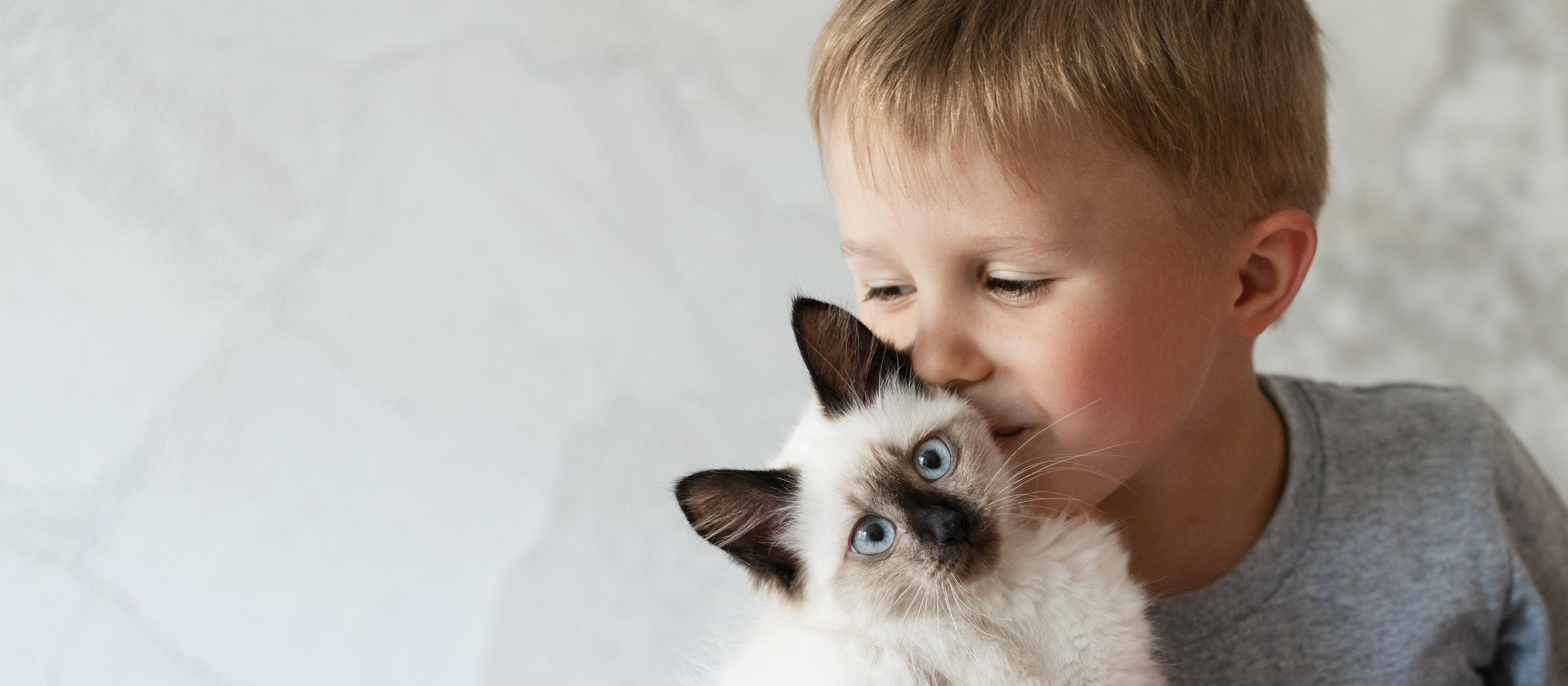 Imunoterapia é o melhor tratamento para crianças que têm alergias a pets