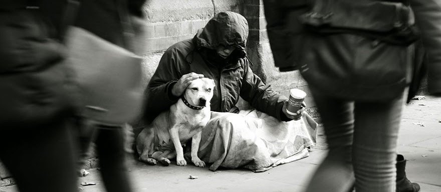 Pesquisa traduz em números a relação entre moradores de rua e animais de estimação