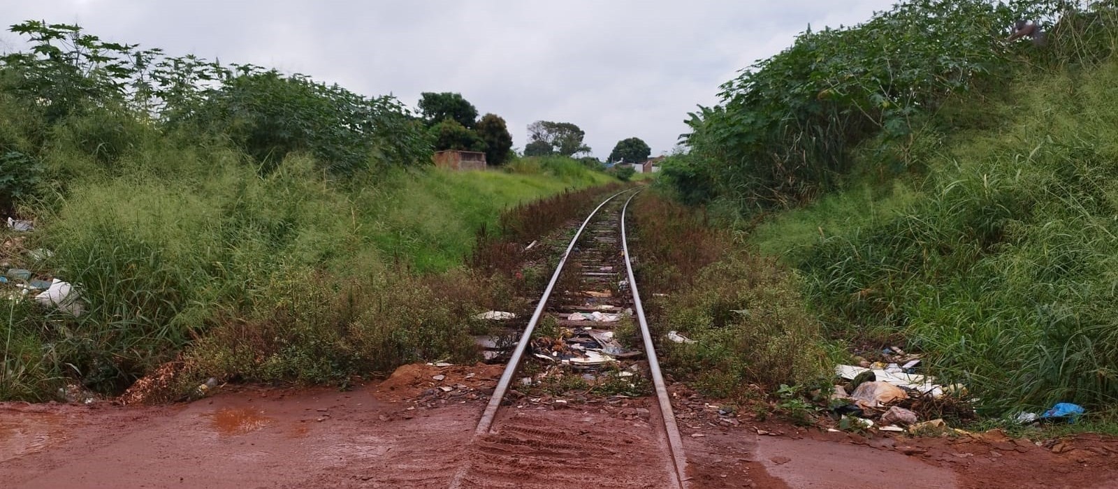 Comissão de Estudos sobre o túnel do Novo Centro vai acionar MP