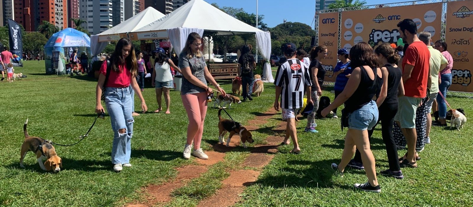 Pet Day é realizado na Praça da Catedral, em Maringá