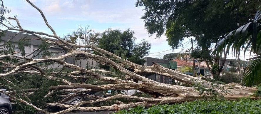 Prefeitura de Maringá divulga balanço parcial após temporal da quinta-feira (2)