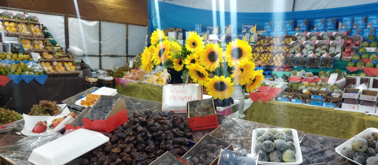 Frutas exóticas despertam atenção na Expoingá