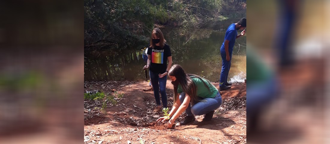 Lagoa do Horto Florestal de Astorga está secando, diz Sodema