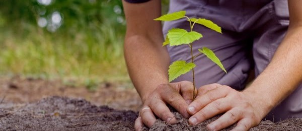 Empresa homenageia pioneiros com iniciativa sustentável