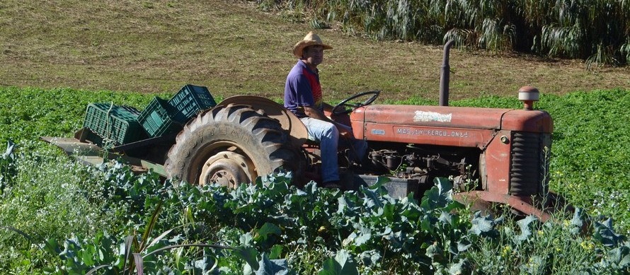 Agricultura familiar é responsável pela renda de 40% da população brasileira