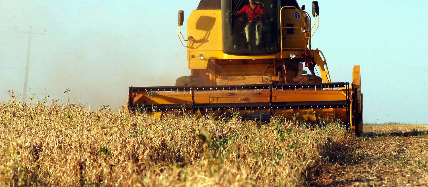 Mesmo em queda, soja rende lucro de 16% para o sojicultor brasileiro