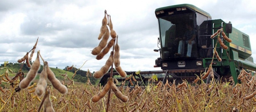 Saca da soja custa R$ 73 em Maringá