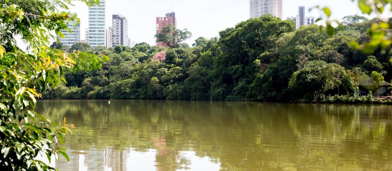 Lago do Parque do Ingá está ‘secando’ por falta de áreas permeáveis