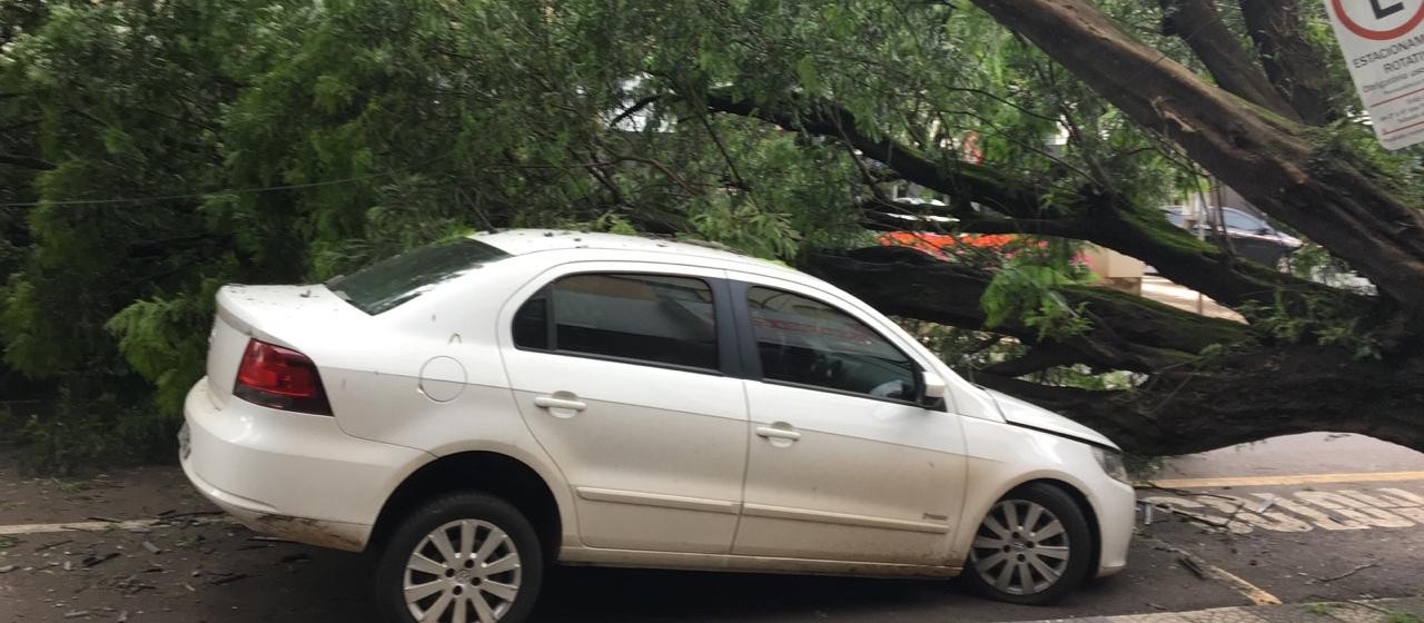 Copel restabelece serviço em Maringá e não será multada pelo Procon