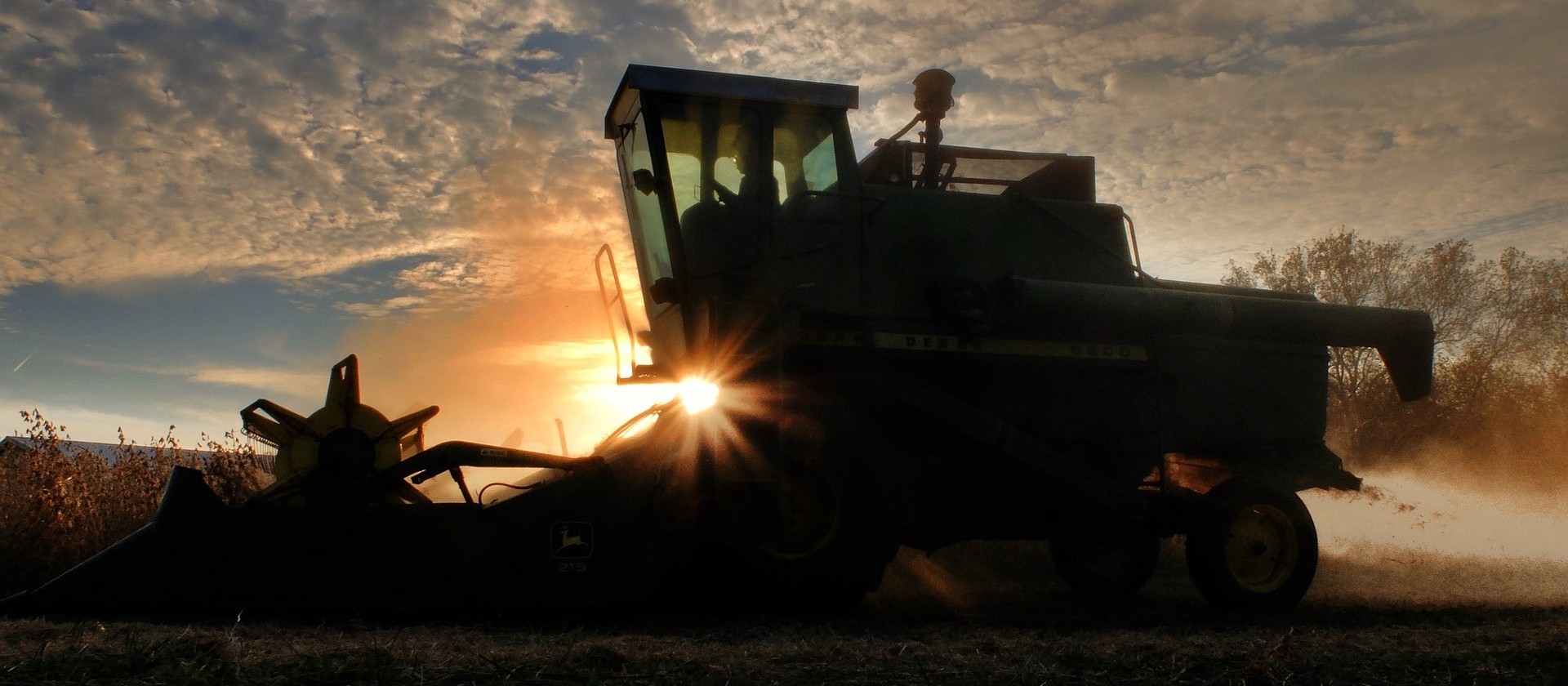 Datagro projeta safra 2020/21 de soja na América do Sul em recorde de 203,19 milhões de toneladas