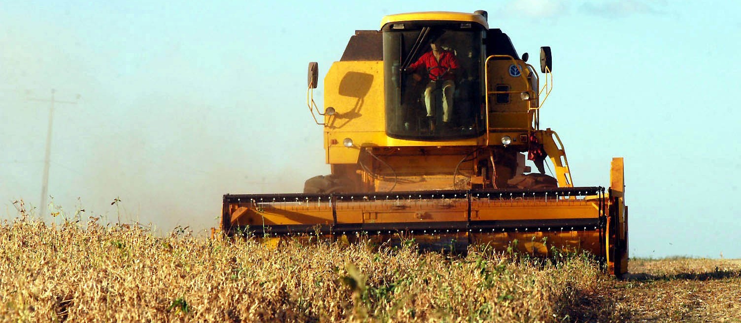 33% da soja do Paraná foi colhida; preços seguem em baixa