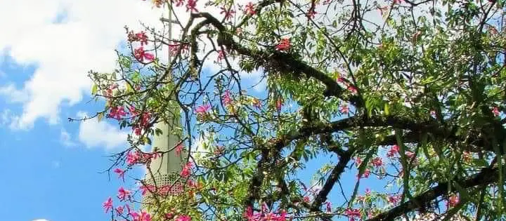 Com calor intenso, Maringá pode ter pancadas de chuva rápidas nesta terça-feira