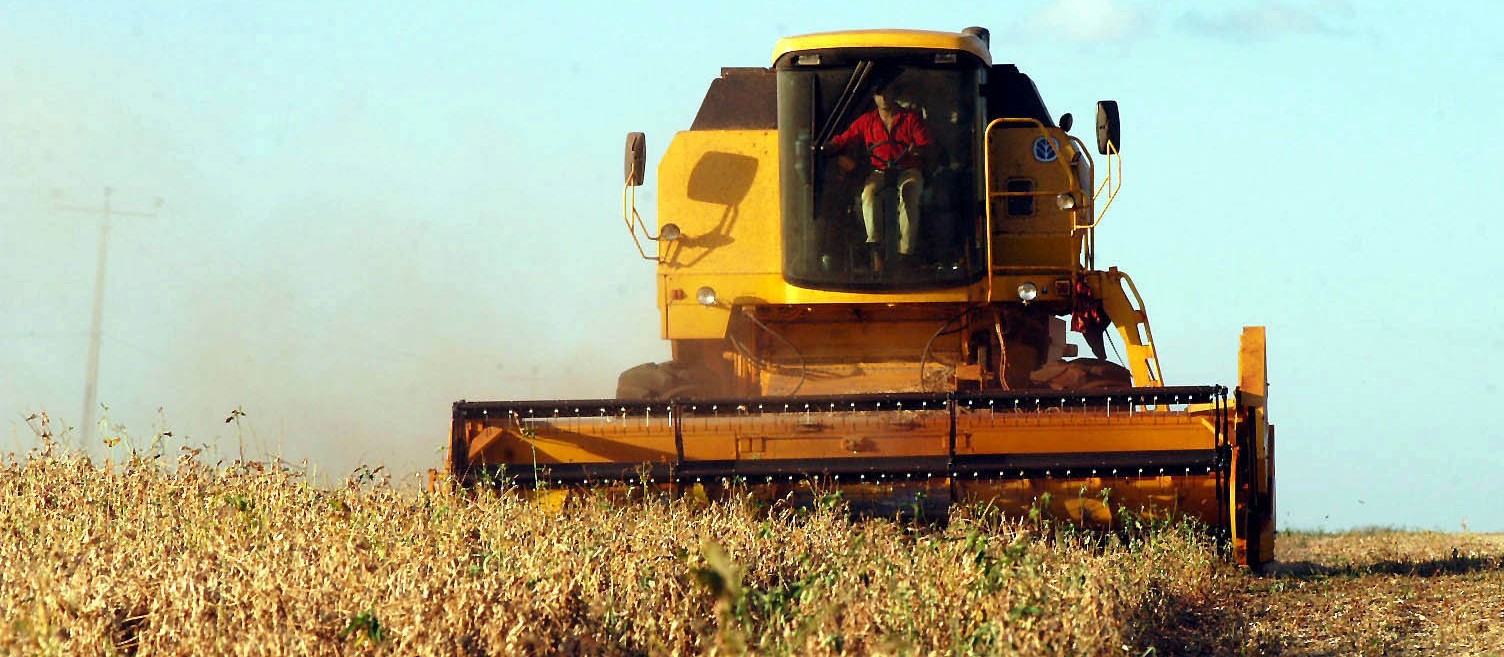 Colheita da soja atinge 97% das áreas no Paraná