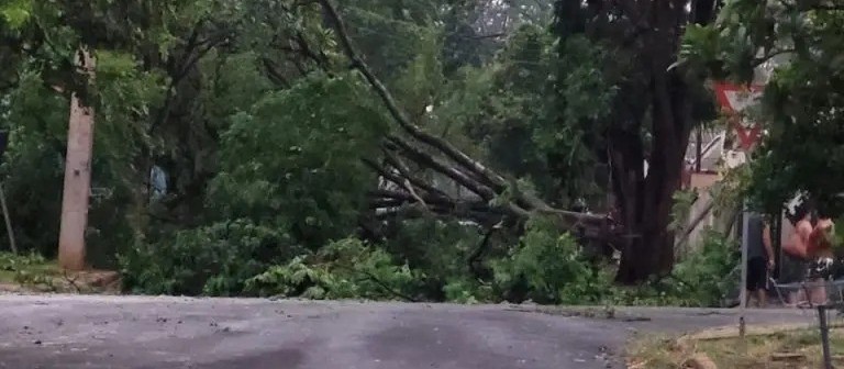 O dia depois do temporal: Veja balanço dos estragos da chuva em Maringá