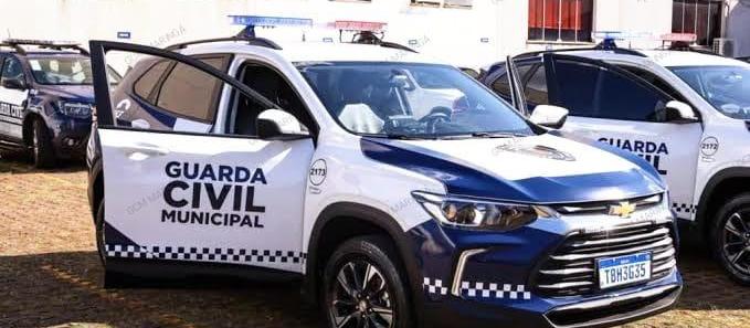 Moradora pode ser multada por poda irregular de árvore, diz GCM