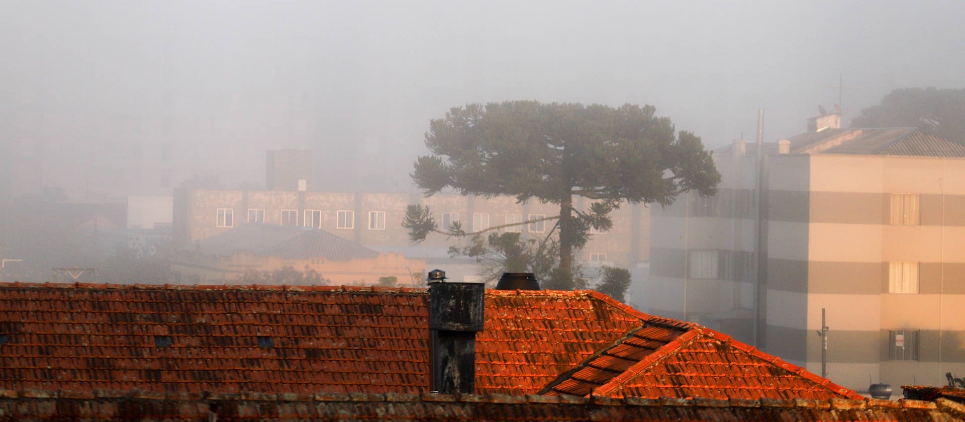 Maringá pode ter mínima de 2 graus na quarta-feira (30)