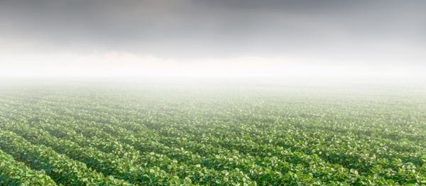 Por causa da chuva, trabalhos no campo estão paralisados