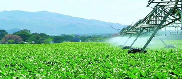 Quatro empresas têm 73% do mercado de fertilizantes no Brasil