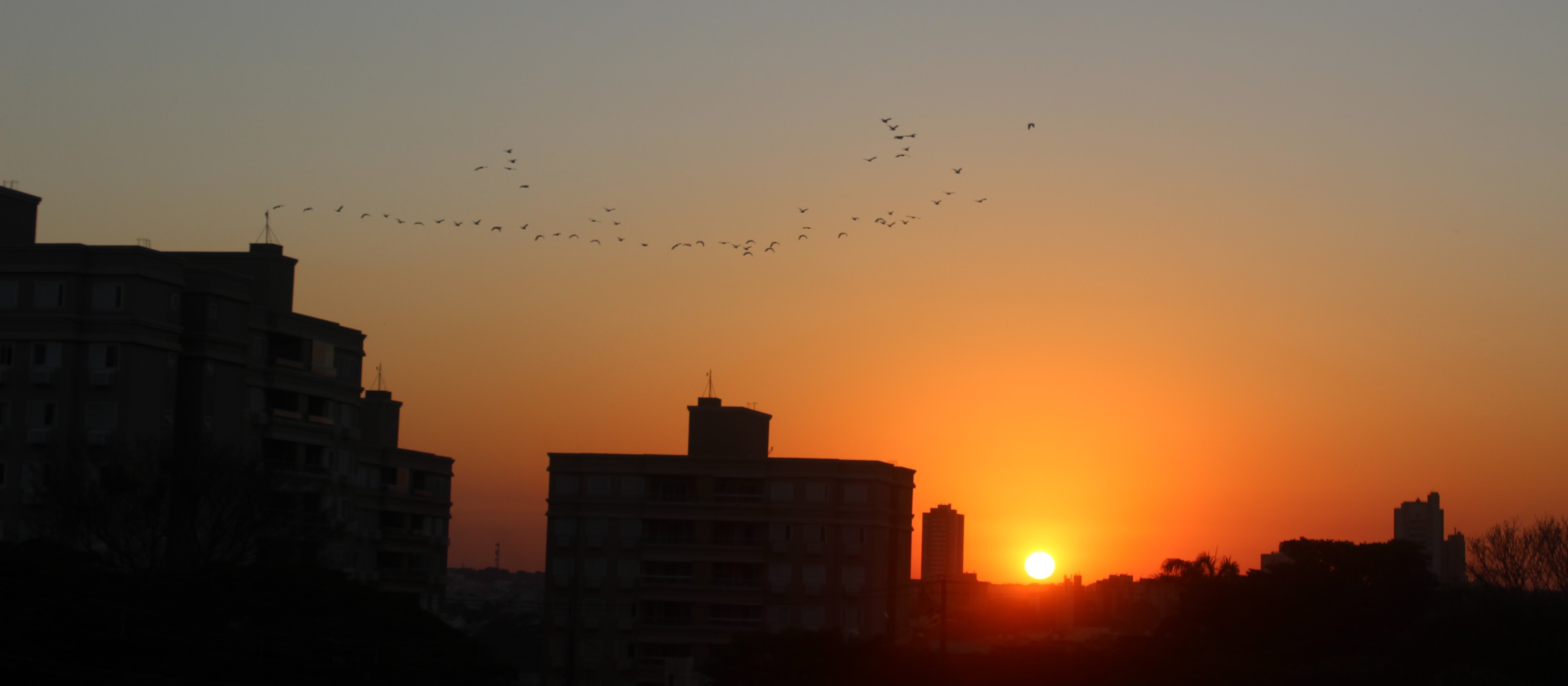 Volta do sol anima produtores