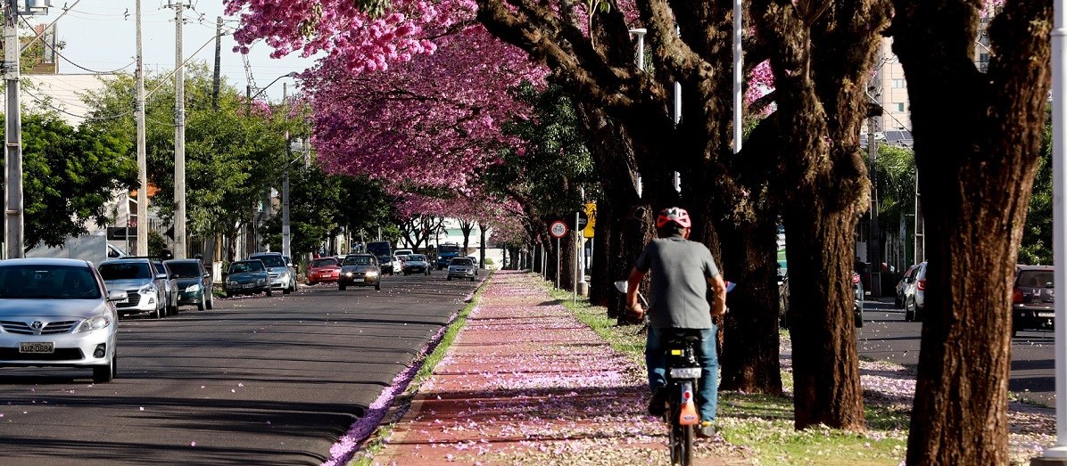 Ativista do ciclismo cobra cronograma para implantação da Zona 30